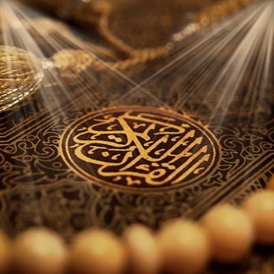 ادارة حلقات القرآن والمتون العلمية بالمسجد النبوي