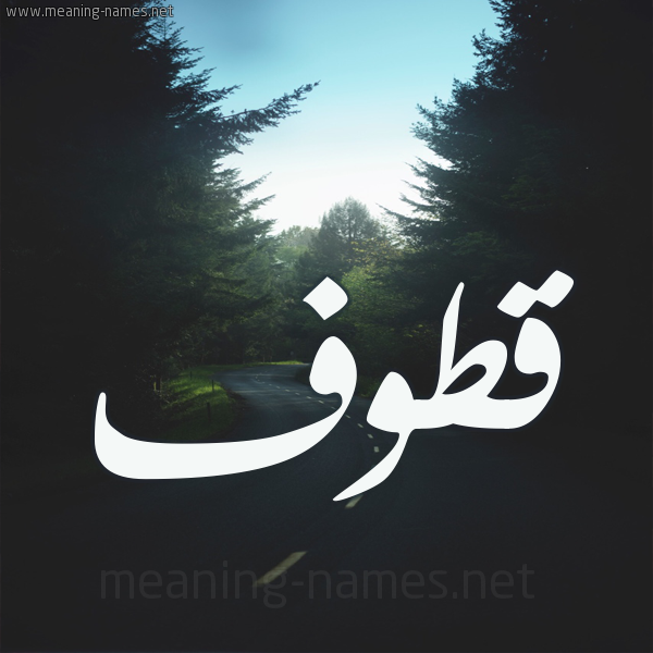 قطوف دعوية