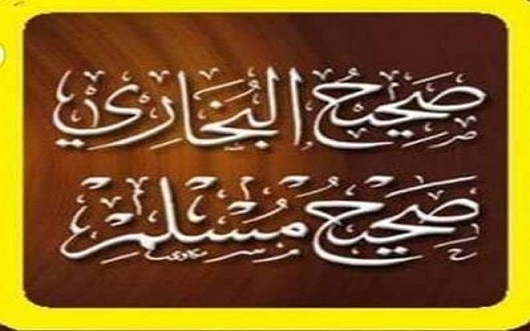 صحيح البخاري ومسلم