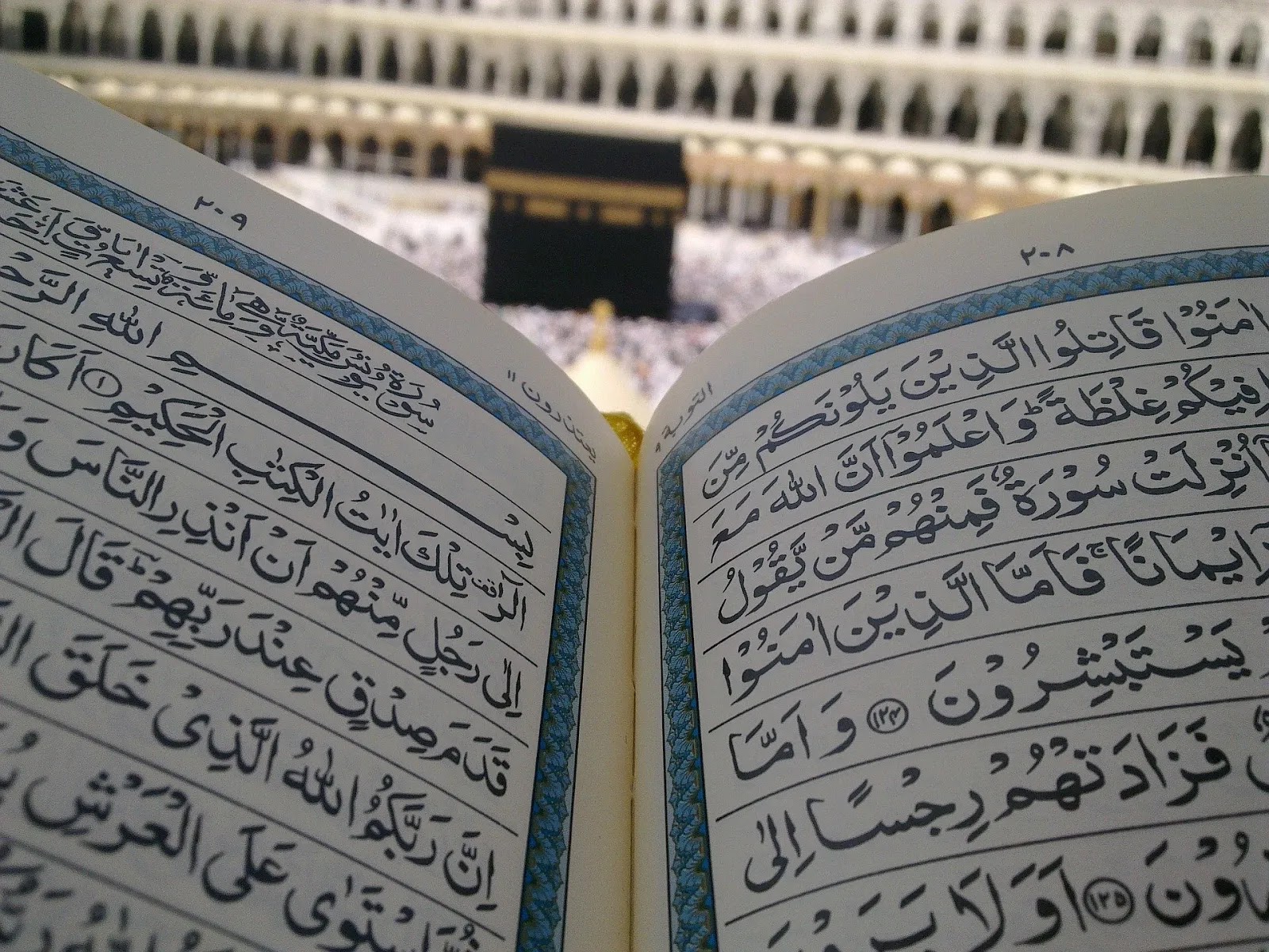 ابن قيم الجوزية