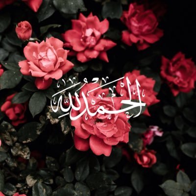 نور الإيمان